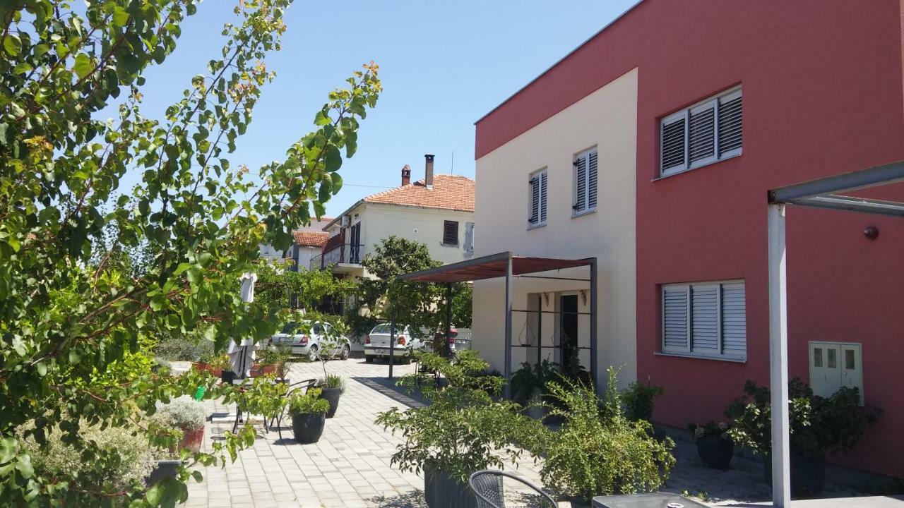 A-mol * Zadar